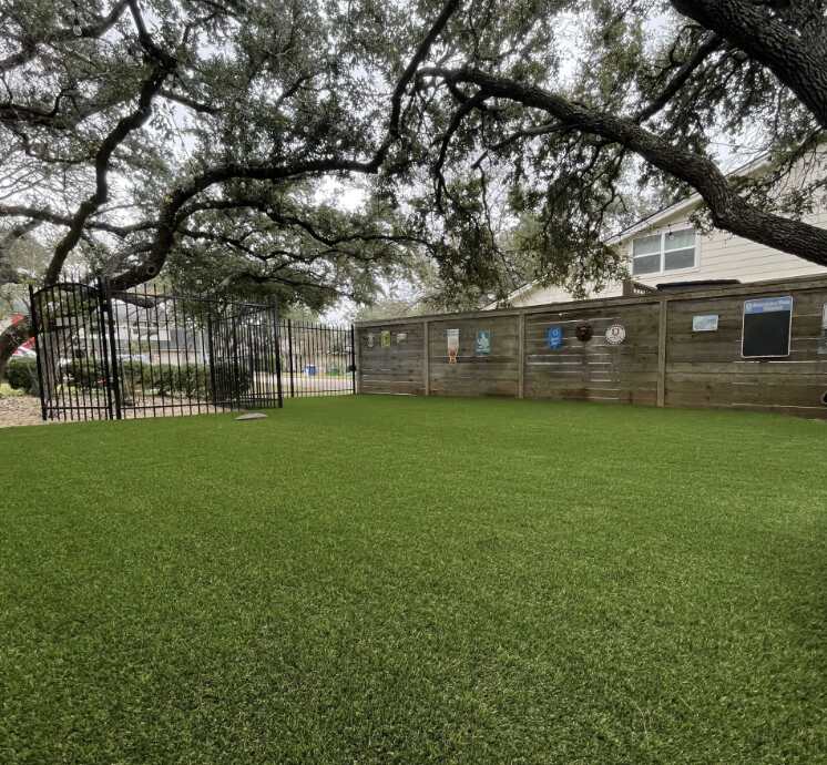 Synthetic Turf refresh